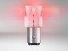 P21/5W LED-Lampen Osram LEDriving® SL Rot - BAY15d