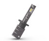 H1 LED-Lampen Philips ULTINON Pro6000 BOOST Zugelassene - 11258U60BX2