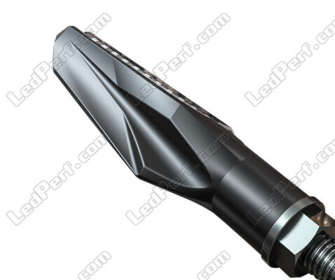 Rückansicht der Dynamische LED-Blinker + Bremslichter für Buell S3 Thunderbolt