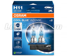 Osram Cool Blue Intense H11 Glühbirnenpaar - 64211CBN-2HB